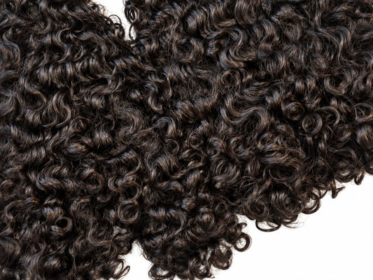 Burmese curly